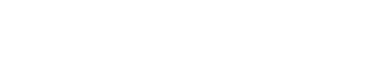 sinesis_logo-120